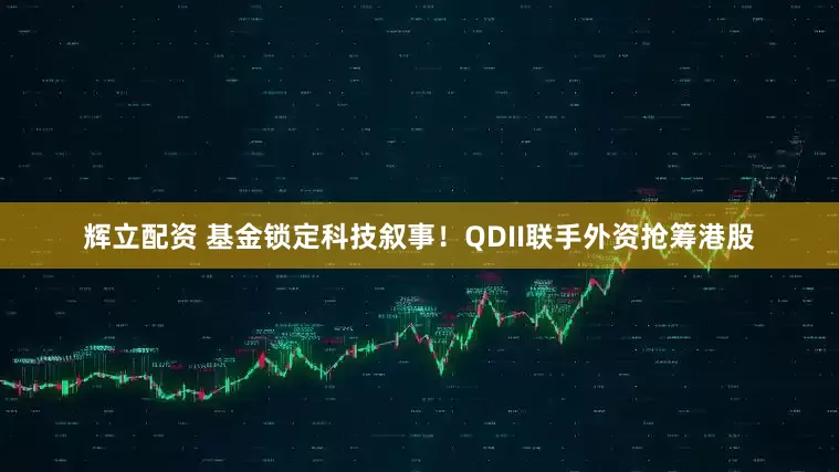 辉立配资 基金锁定科技叙事！QDII联手外资抢筹港股