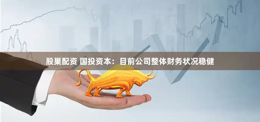 股巢配资 国投资本：目前公司整体财务状况稳健