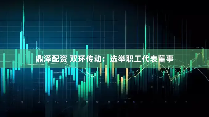 鼎泽配资 双环传动：选举职工代表董事